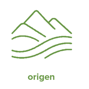 Origen